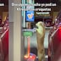 “Que lo hagan la mascota oficial”: lomito que se acerca a la ventanilla de un Caffenio en Obregón se vuelve viral en redes sociales