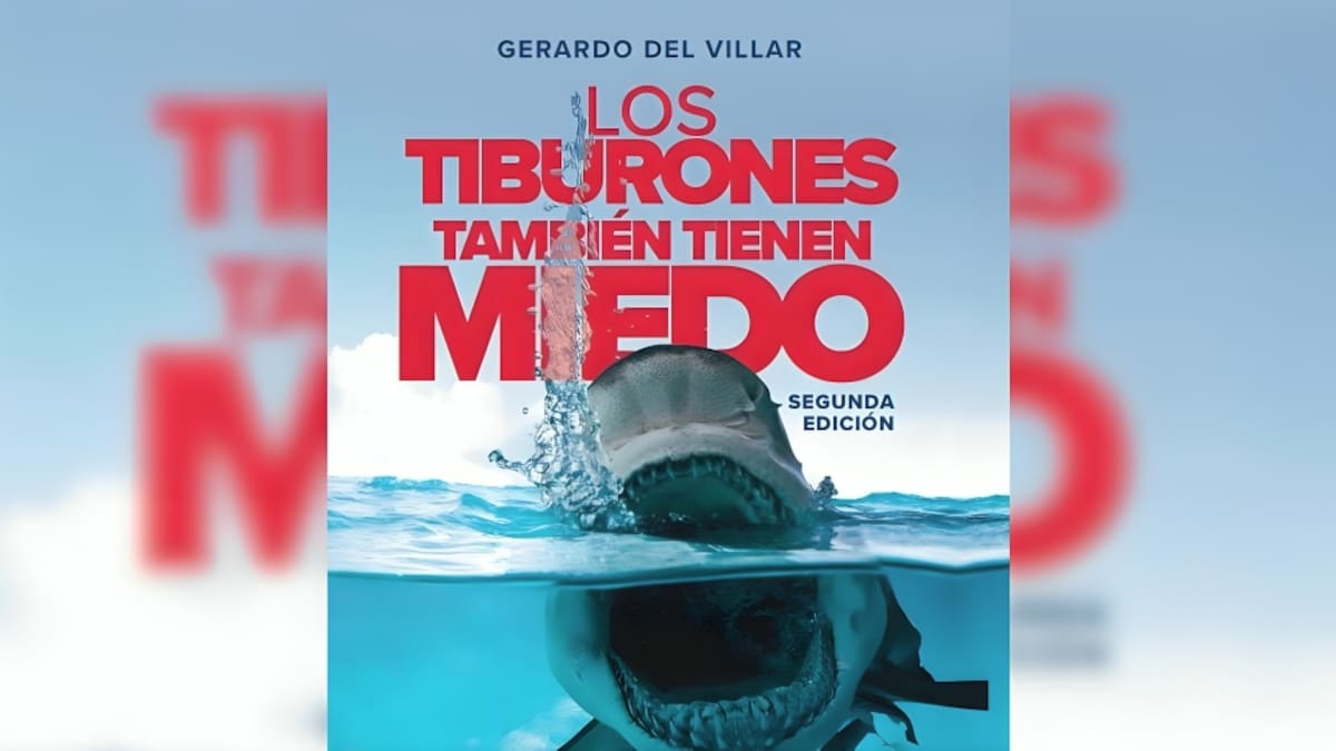 Lectura obligada para cerrar el año: “Los tiburones también tienen miedo”: Conoce los cinco aprendizajes que te ayudarán a transformar el miedo en una herramienta de crecimiento