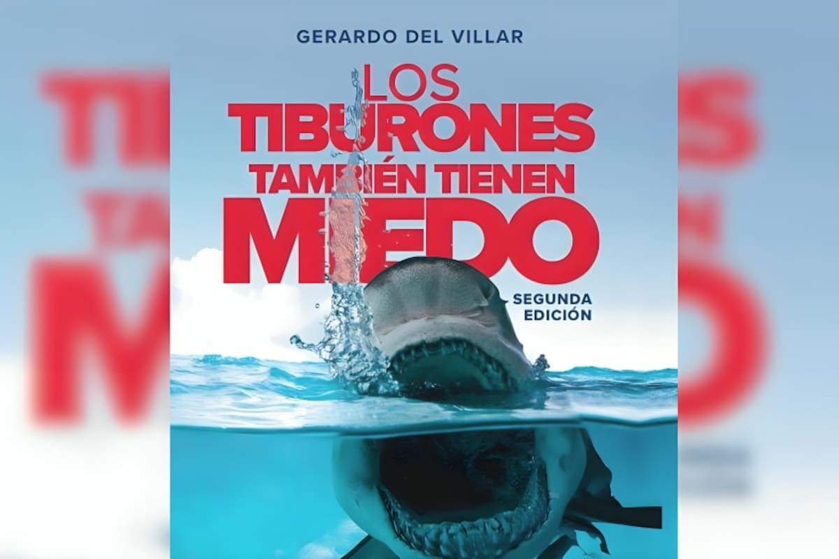 Lectura obligada para cerrar el año: “Los tiburones también tienen miedo”: Conoce los cinco aprendizajes que te ayudarán a transformar el miedo en una herramienta de crecimiento