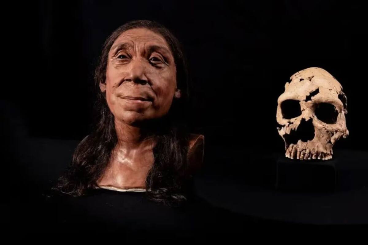 ¡Científicos reconstruyen el cráneo de una mujer neandertal que vivió en la Tierra hace unos 75 mil años!