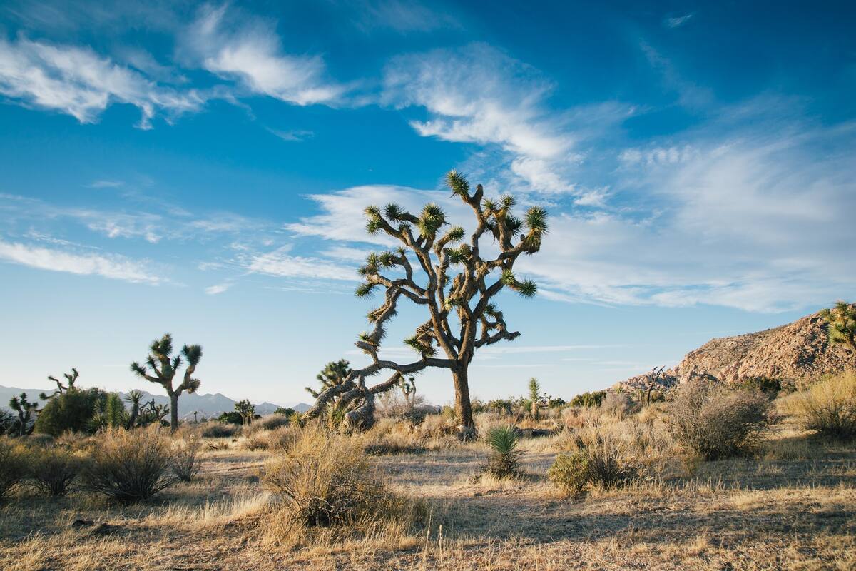 El desplazamiento de la canícula aumenta el calor en agosto