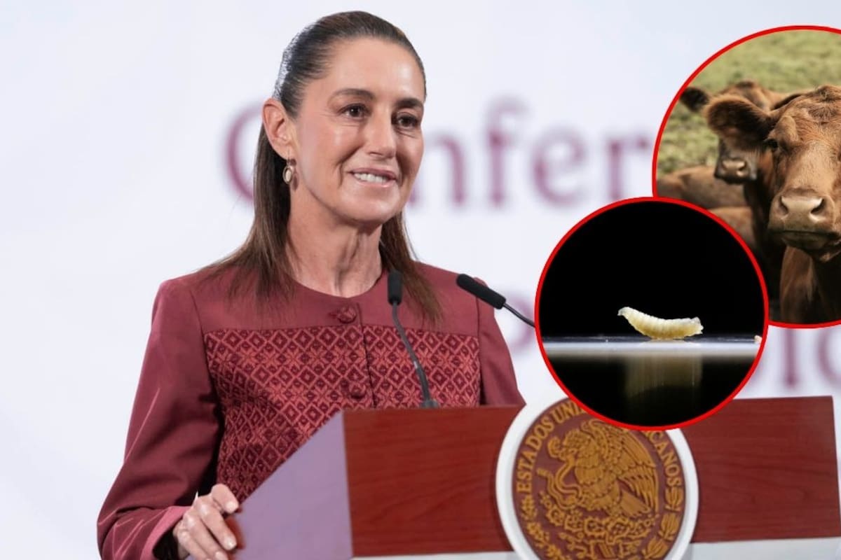 A un año del cierre de la frontera por gusano barrenador, aún no hay fecha para reapertura