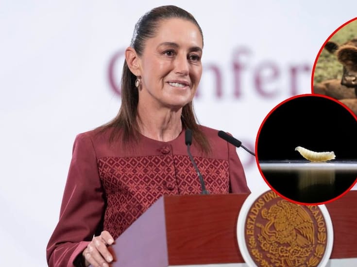 A un año del cierre de la frontera por gusano barrenador, aún no hay fecha para reapertura