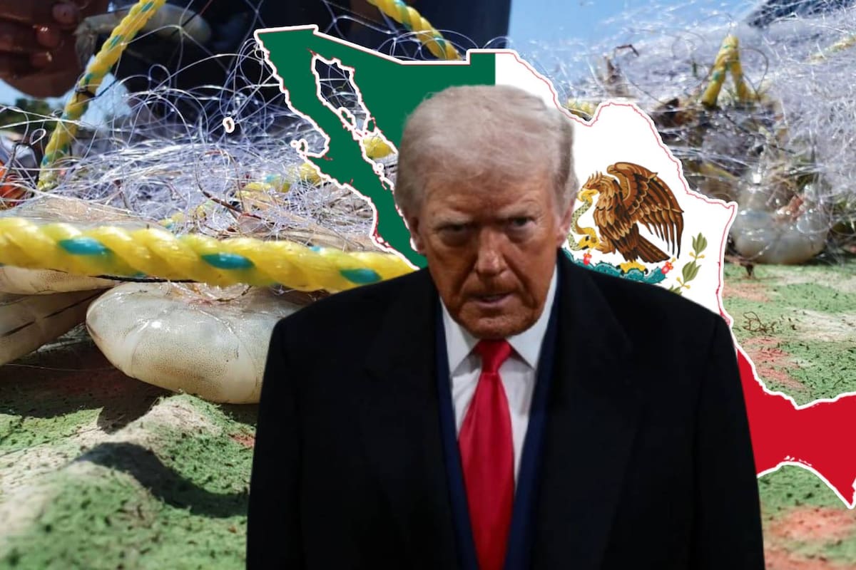 EEUU amenazó a México por presuntas pesca y tala de árboles ILEGALES, planea represalias en el T-Mec