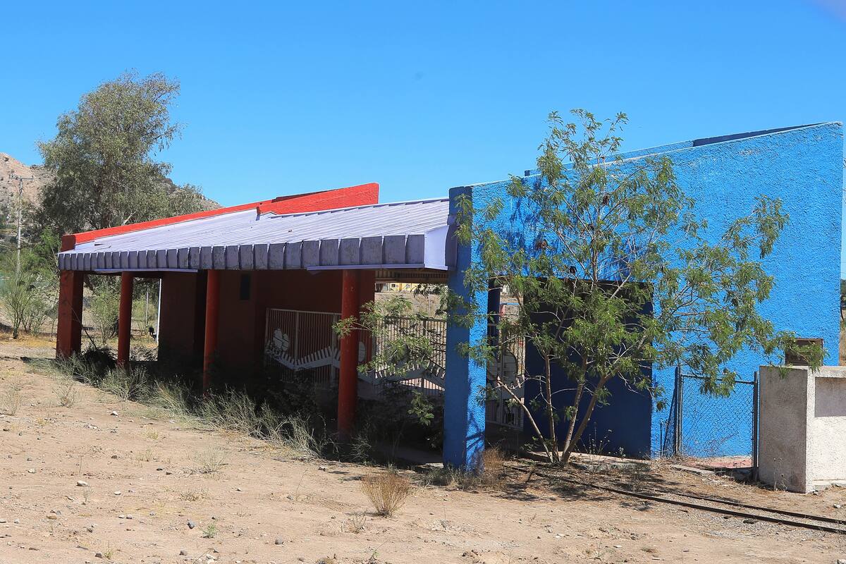 Área central de La Sauceda está casi libre de buffel