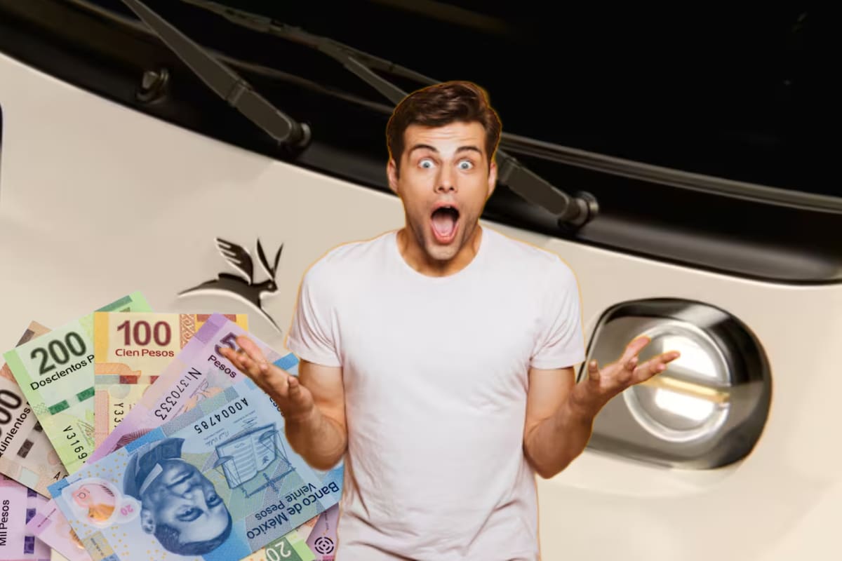 ¿Olinia cambió de precio? Estos son los modelos y detalles del automóvil eléctrico 100% mexicano, actualizados a mayo de 2026