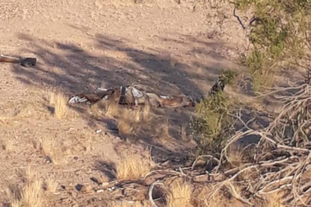 Hallan cuerpo en el valle de Mexicali