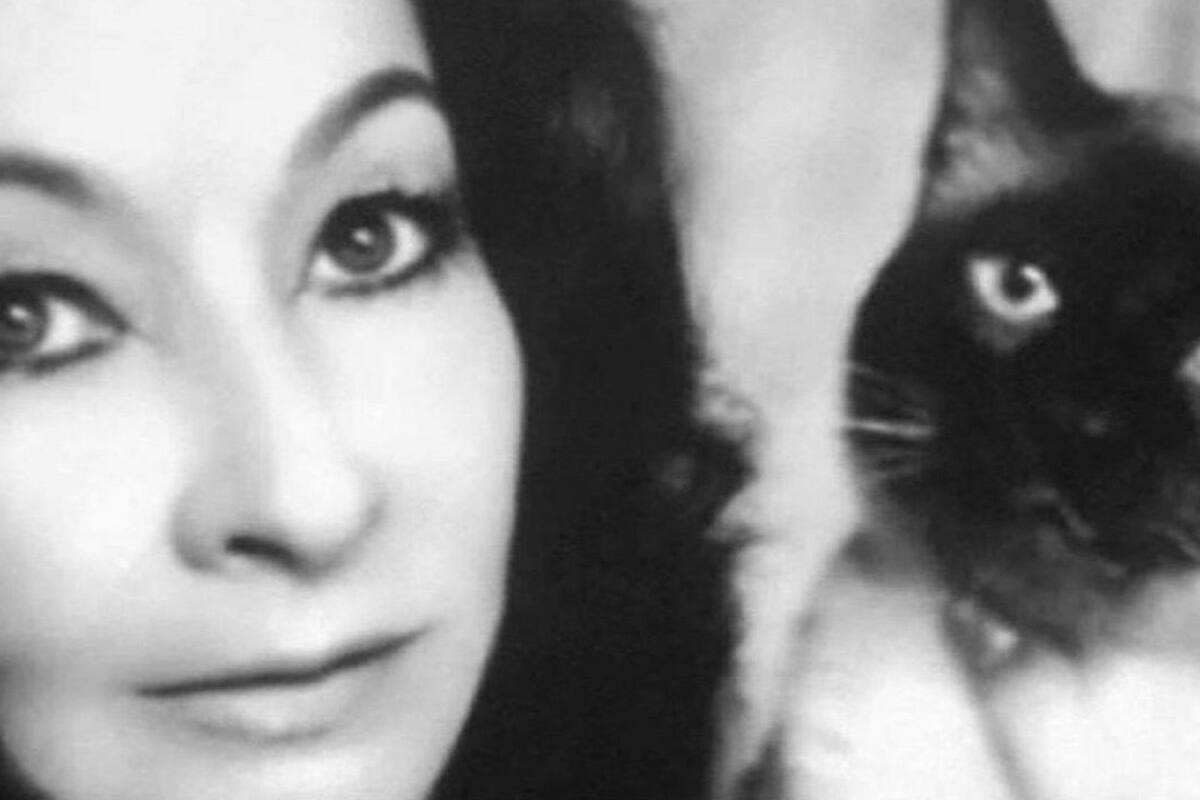 Cinco libros de Amparo Dávila que te perturbarán