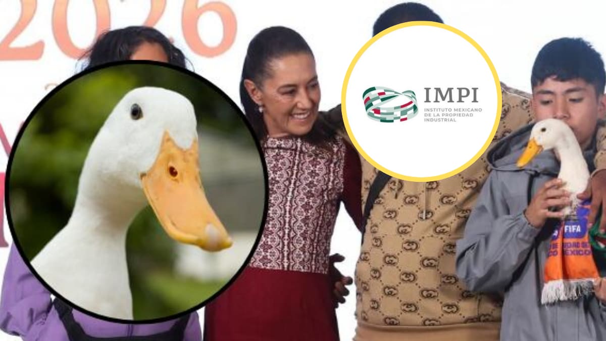 Conoce qué se necesita para registrar una marca ante el IMPI, cuánto cuesta, cuánto tarda y qué elementos no pueden protegerse legalmente