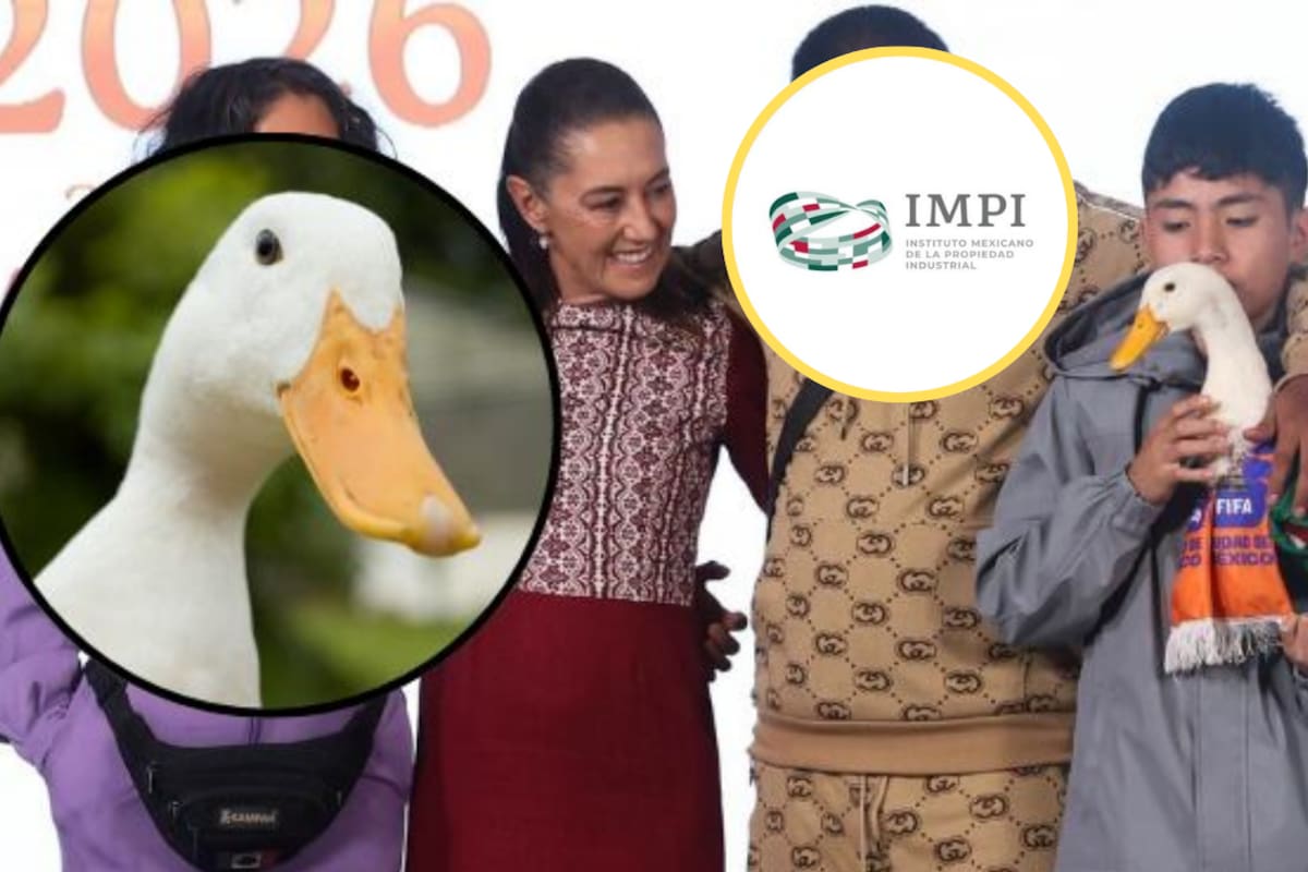 Conoce qué se necesita para registrar una marca ante el IMPI, cuánto cuesta, cuánto tarda y qué elementos no pueden protegerse legalmente