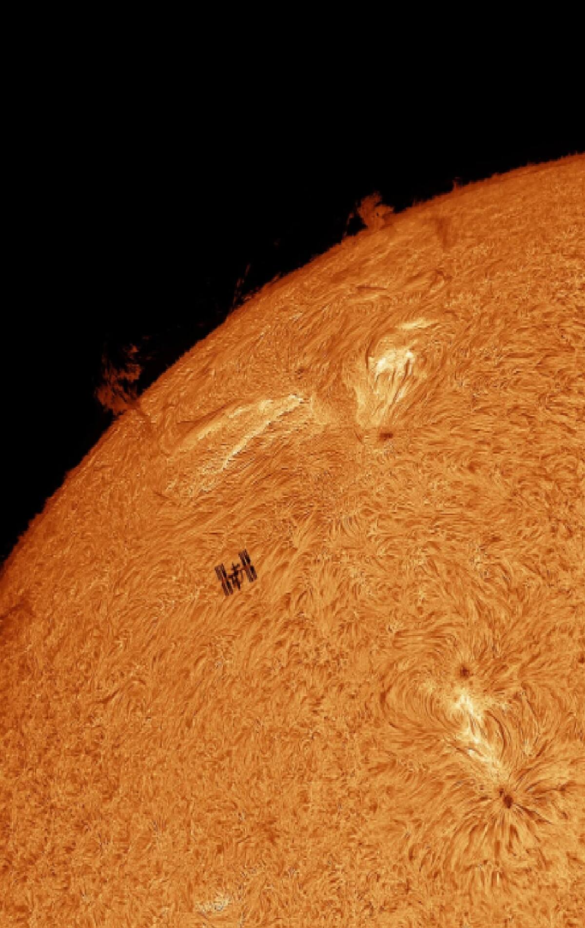El fotógrafo británico Tom Williams ganó la categoría Personas y Espacio con esta imagen que muestra la silueta de la Estación Espacial Internacional (EEI) contra el sol.