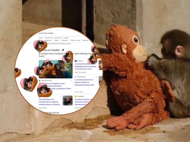 ¿Cómo activar la animación del monito Punch en Google? El famoso buscador dedica homenaje al macaco japonés que fue rechazado por su madre y se hizo viral