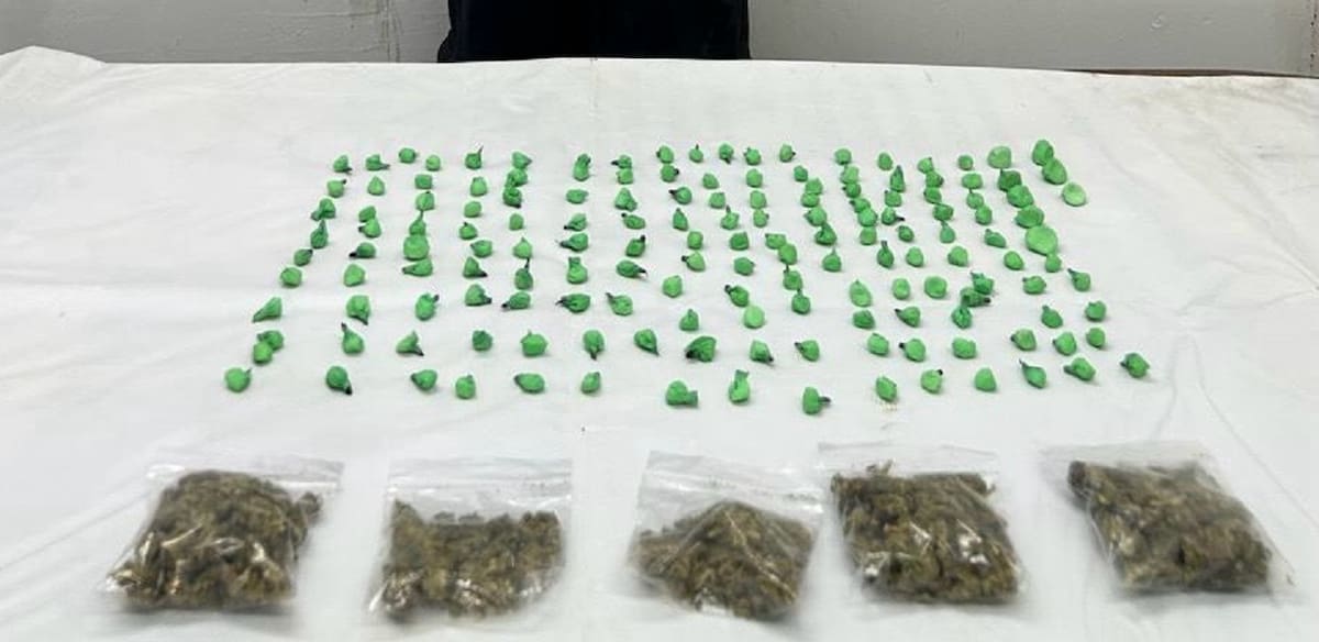 El detenido identificado como Luis David “N” de 27 años de edad, fue puesto a disposición del Ministerio Público Federal. Foto: Cortesía