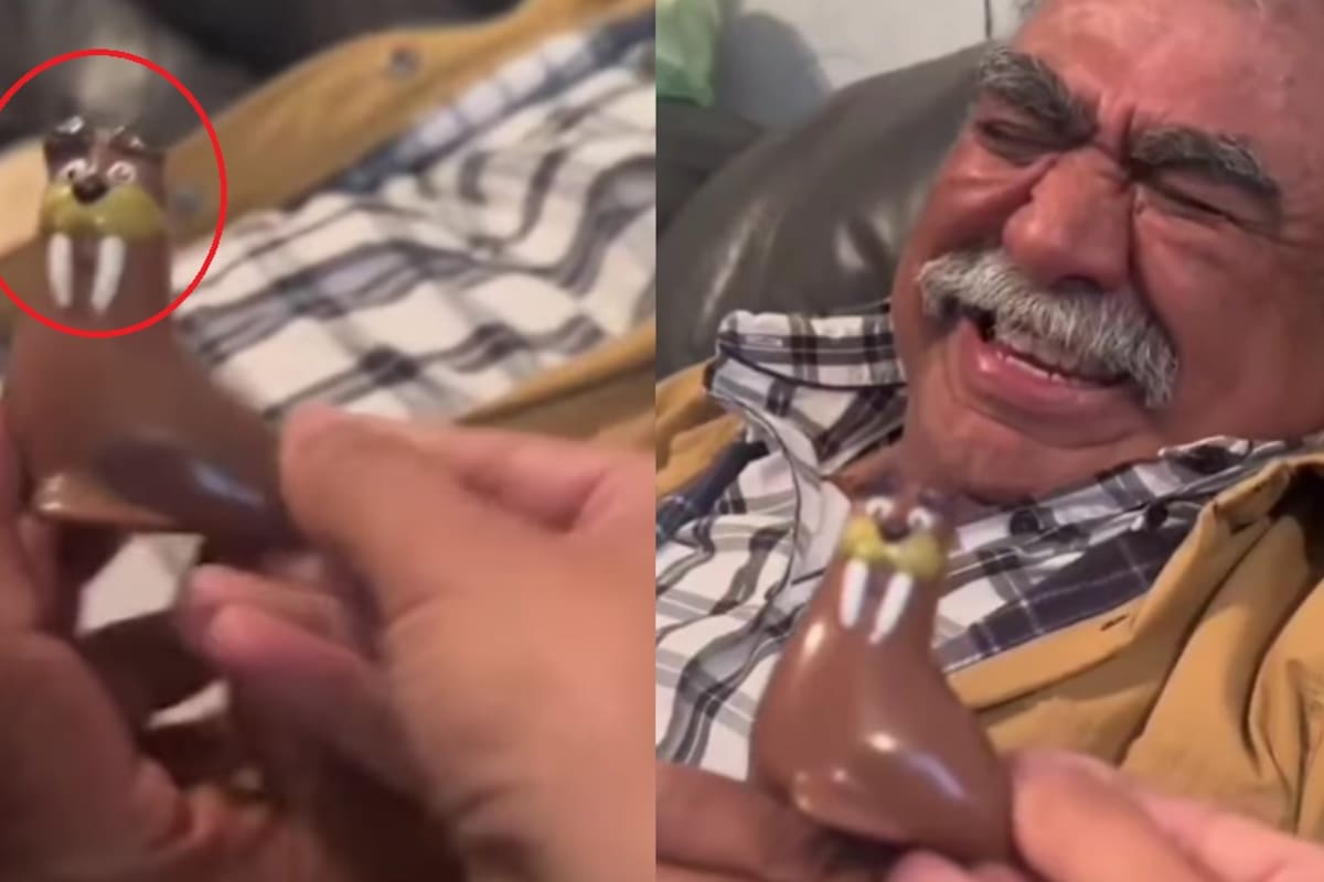 “¡Es abuelito!”: niña confunde figura de una foca con bigotes con su abuelo