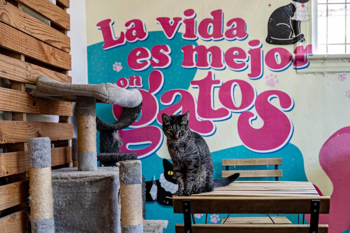 Foto: cortesía