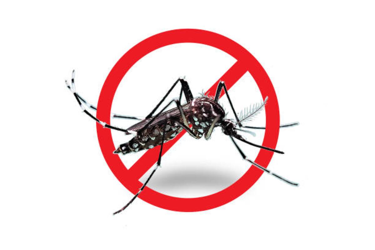 Investigadores de Yucatán y EU: Estrategias contra mosquitos transmisores