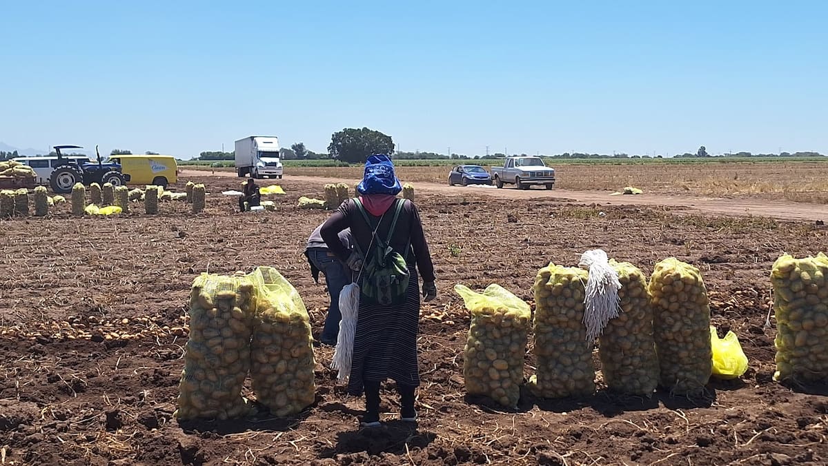 Imagen por Mayra Echeverría.