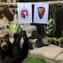 Necropsia revela que el oso Yogui del Parque Morelos murió por problemas hepáticos