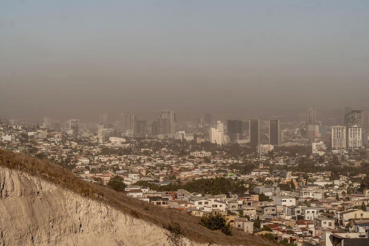 Los vientos de Santa Ana los días lunes y martes provocaron la caída de árboles y postes