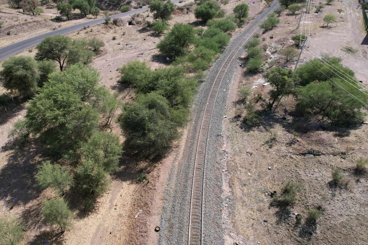 Niños encuentran restos óseos en Nogales
