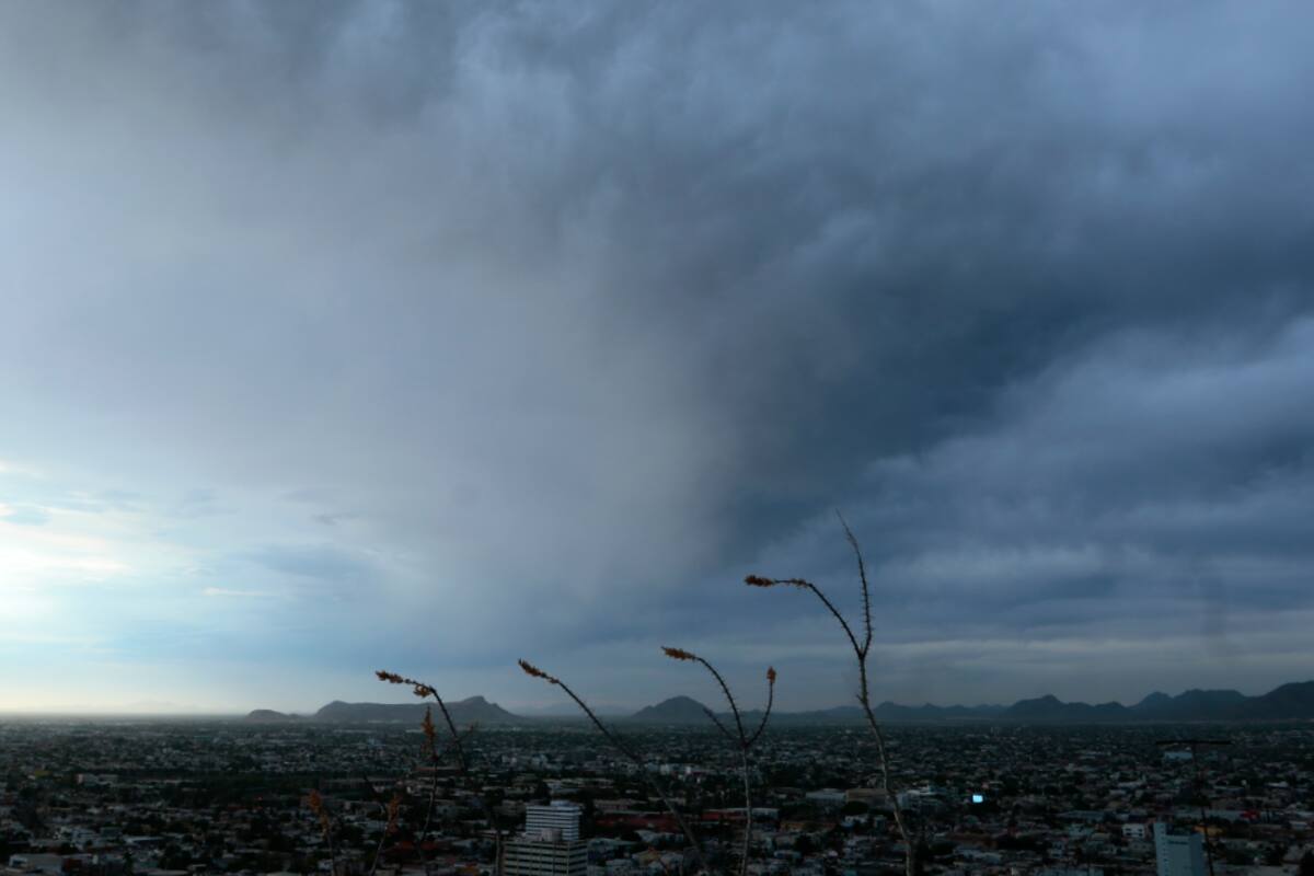 Nuevo frente frío dejará temperaturas de hasta -10 grados en Sonora: SMN