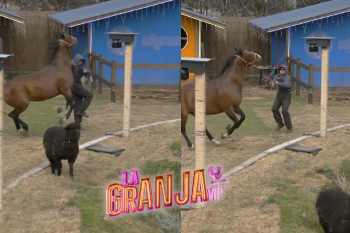 Momento en el que un caballo en “La Granja VIP” se altera y lastima a Sergio Mayer Mori ¿cuál es su estado de salud?