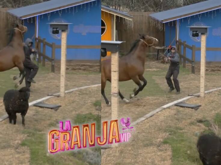 Momento en el que un caballo en “La Granja VIP” se altera y lastima a Sergio Mayer Mori ¿cuál es su estado de salud?