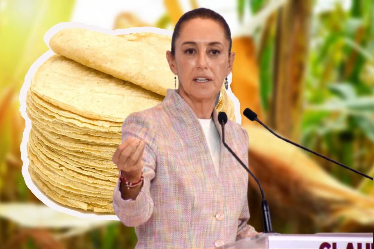 Sheinbaum y su plan para bajar la tortilla, Productores le responden; Coparmex pide que no sea por decreto