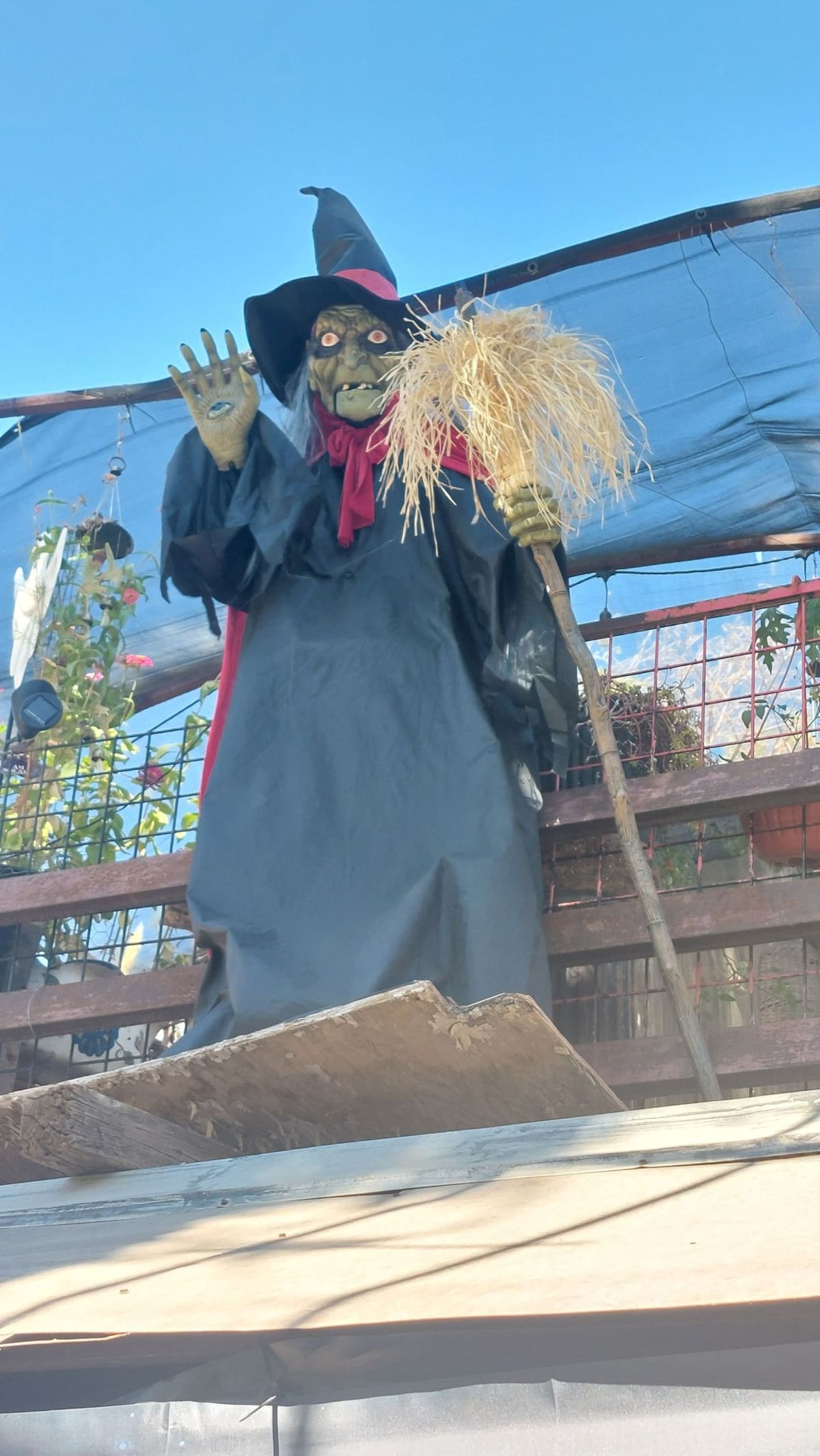 Una aterradora bruja vigila desde las alturas, lista para Halloween en Nogales. / Foto: Manuel Jimenez