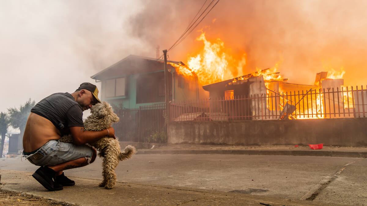 “Mi papá falleció acostadito con mi perrita”: testimonios explican por qué los incendios en Chile se volvieron mortales en pocas horas