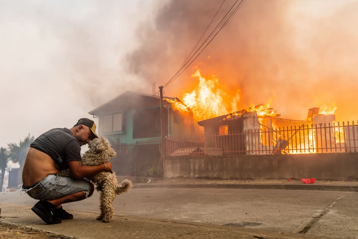 Una persona juguetea con un perro frente a una casa en llamas el domingo 18 de enero de 2026, en Lirquen, Chile. (AP Foto/Javier Torres)