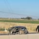 Mueren dos personas tras aparatoso choque en la carretera San Luis-Mexicali
