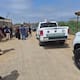 Inspeccionan caballos en Playa Hermosa tras muerte de una yegua; retirarán algunos ejemplares