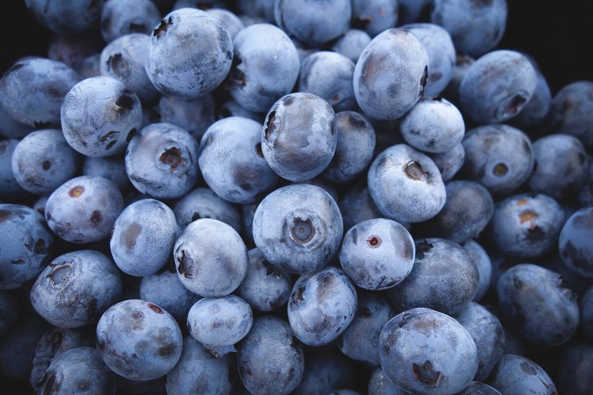 11 alimentos que no puedes meter en el refrigerador