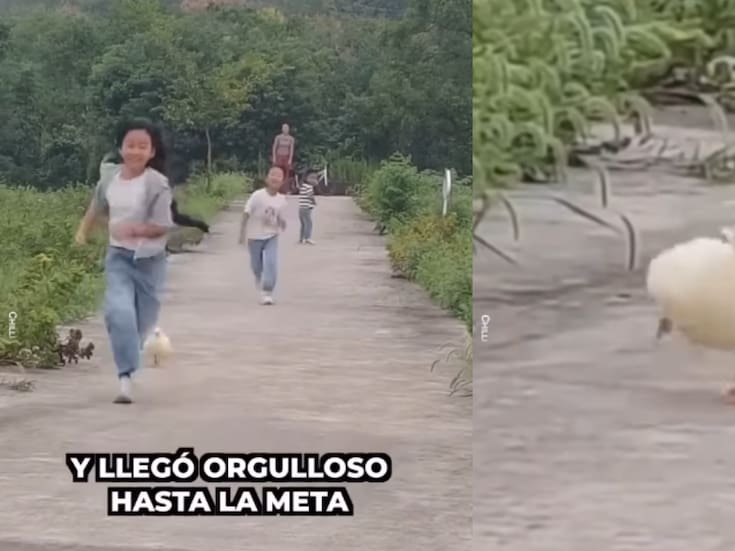 “Sus patitas, cómo corre”: jóvenes organizan carreras con su pato y causan sensación