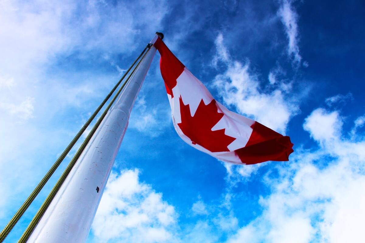 Canadá busca diseñador gráfico mexicano por 45 mil pesos al mes