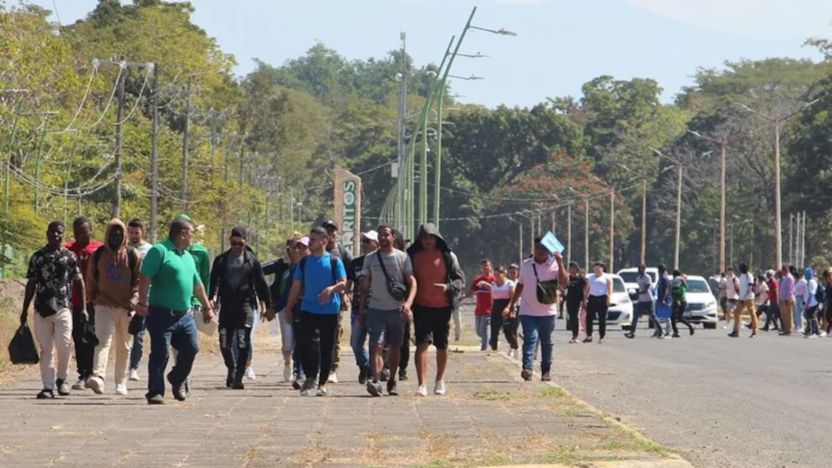 Comité de la ONU señala falta de avances de México en justicia para migrantes víctimas de desaparición