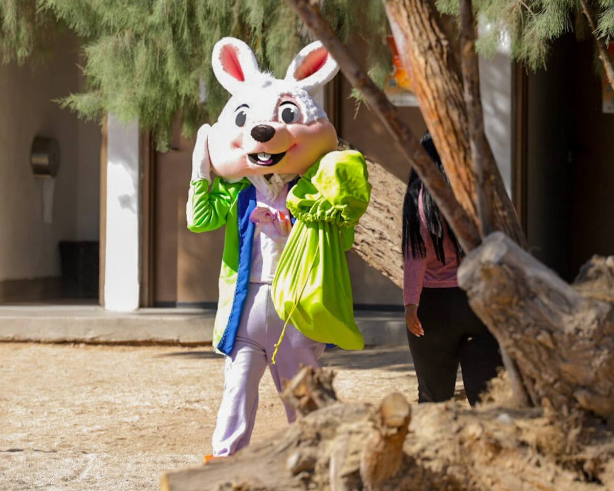 Foto: Javier Gallegos