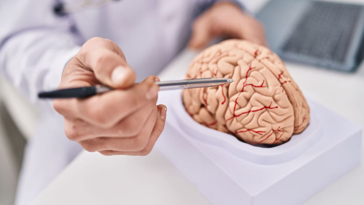 Cuidar el cerebro, clave para prevenir 8 de cada 10 enfermedades neurológicas, según jefa de neurología del IMSS