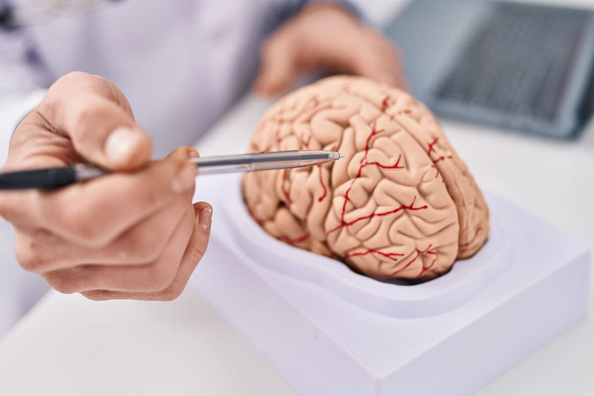 Cuidar el cerebro, clave para prevenir 8 de cada 10 enfermedades neurológicas, según jefa de neurología del IMSS