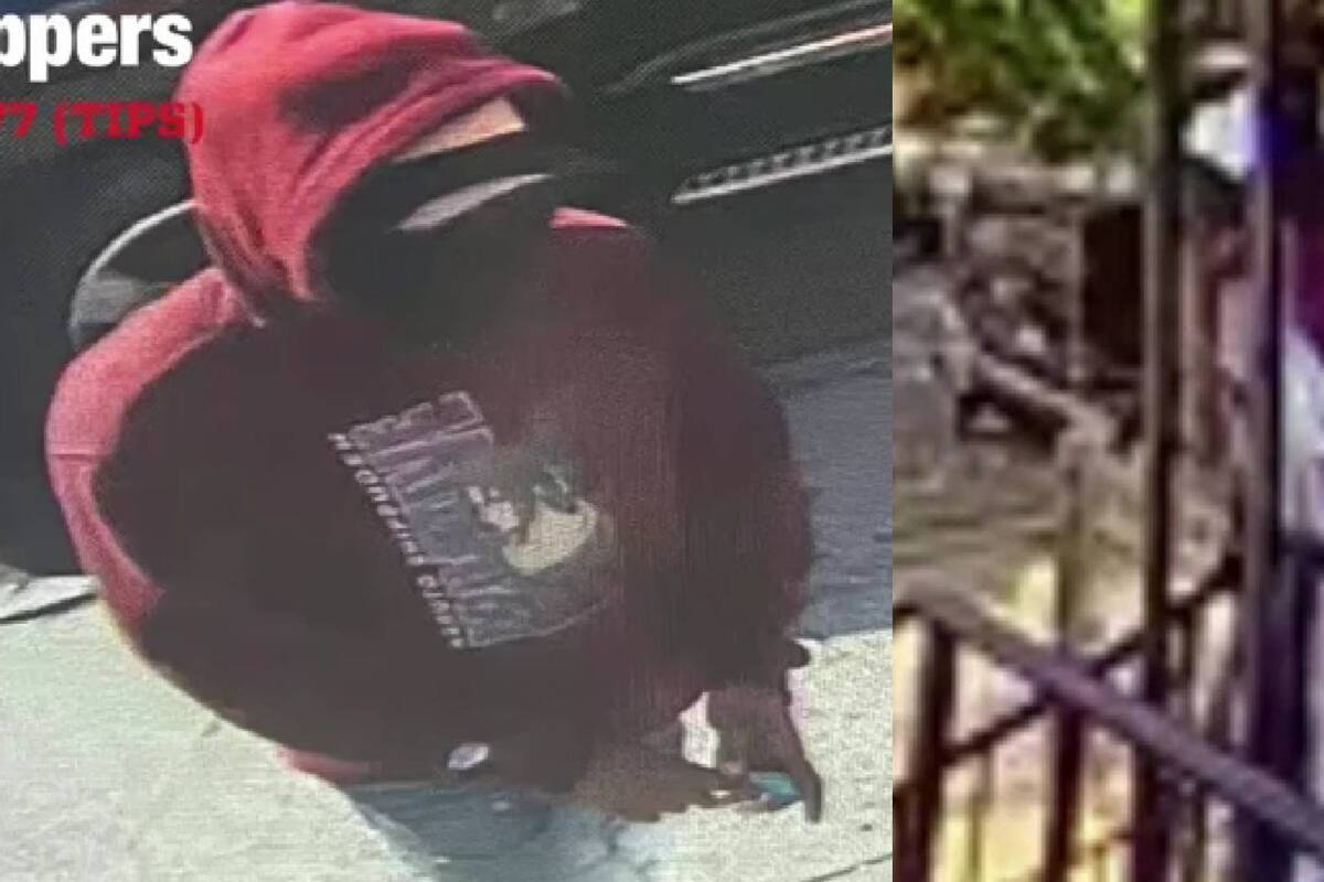 Nueva York: Mujer es asaltada y violada a punta de cuchillo a plena luz del día en parque de Bronx