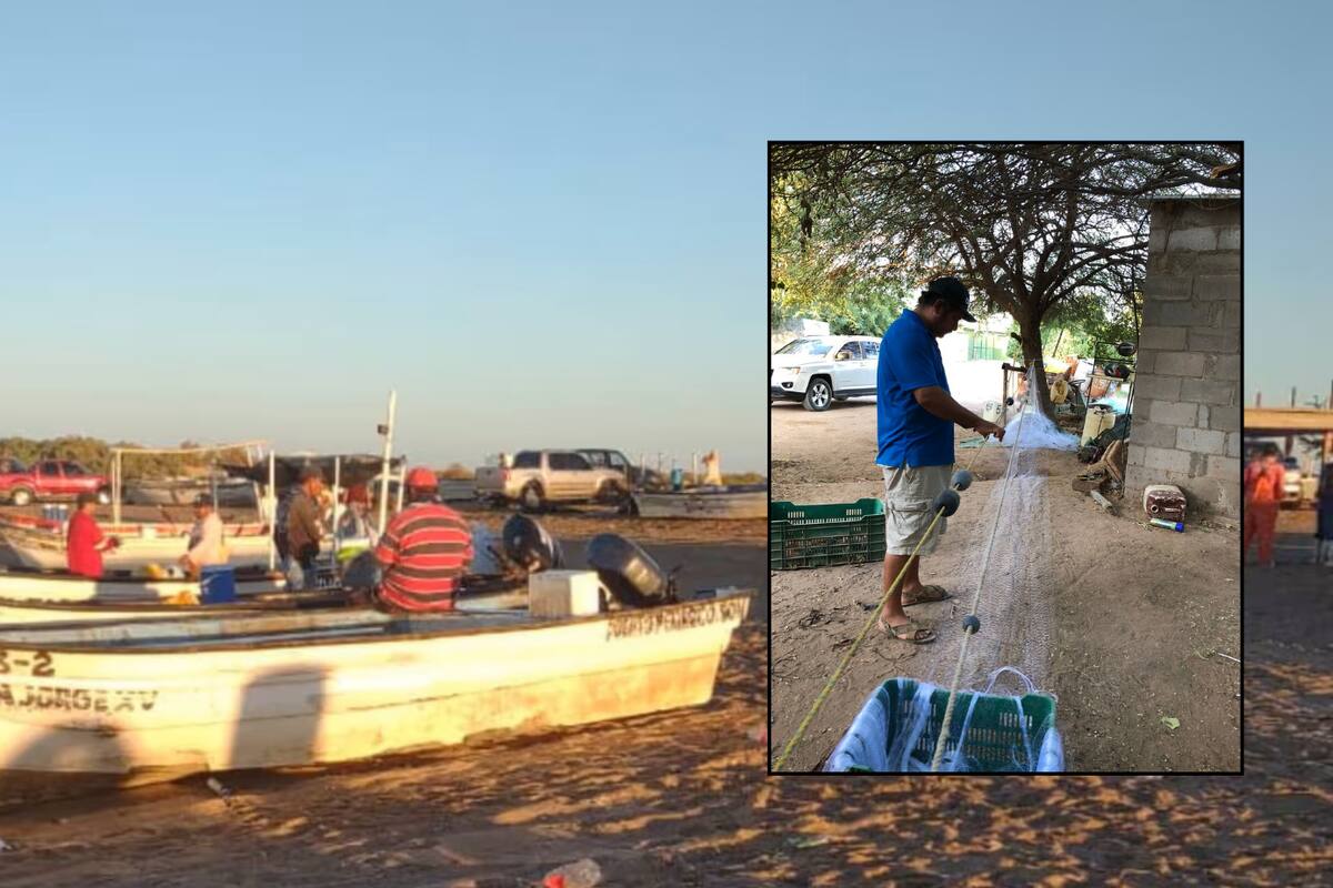 Esperan pangueros de la costa caborquense con ansias la “chinchorreada” de camarón