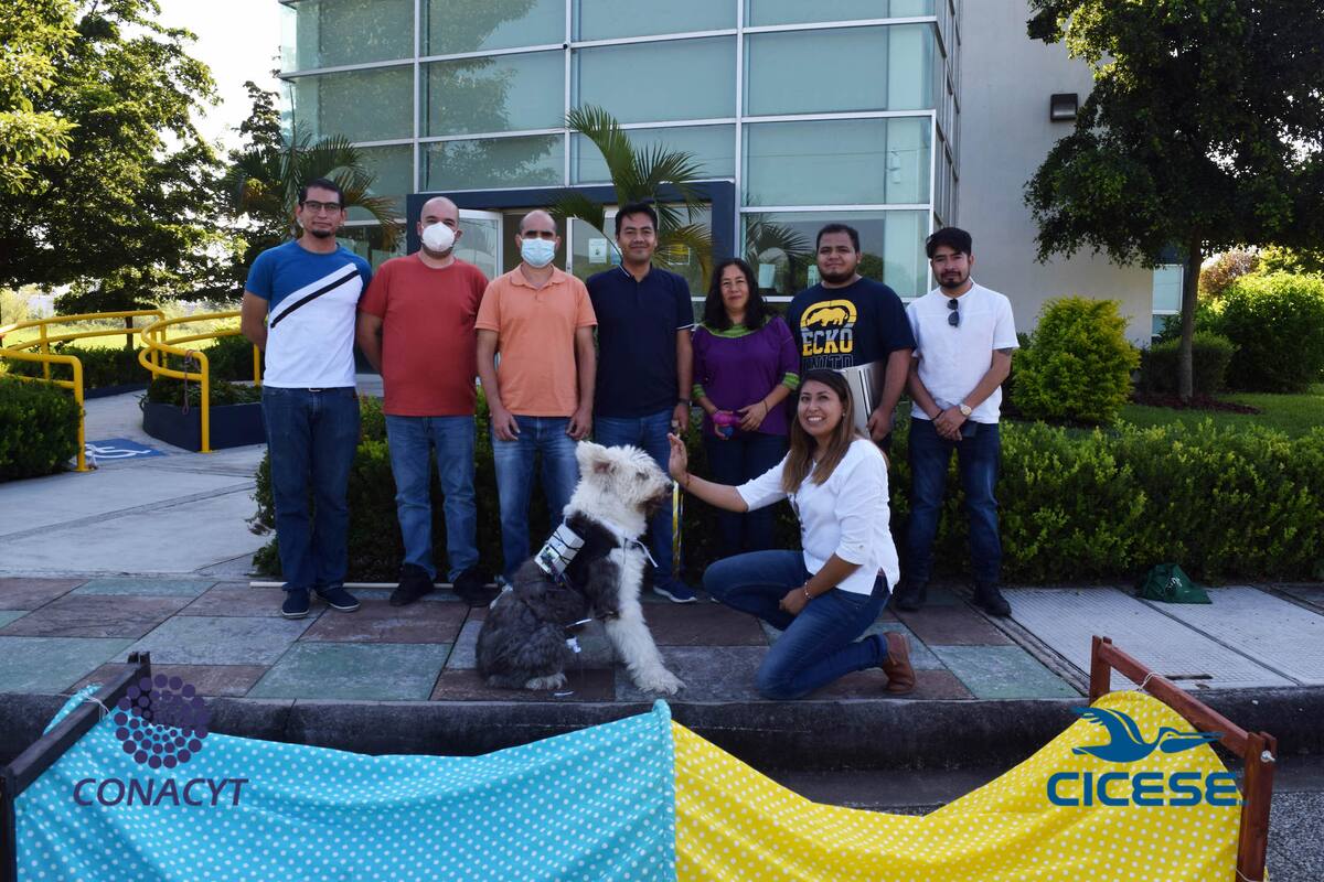 Desarrollan tecnologías para facilitar la comunicación entre humanos y perros