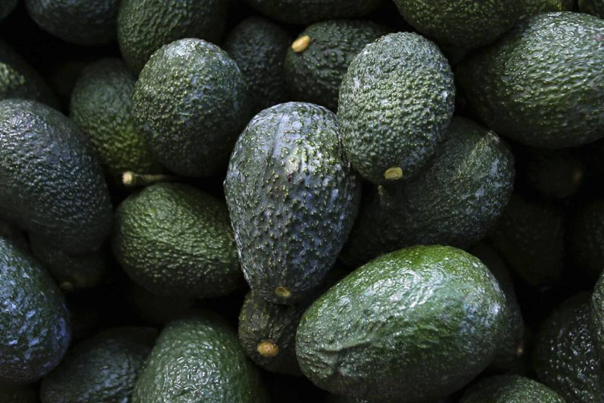 Por qué el precio del aguacate se disparó a niveles no vistos en 20 años