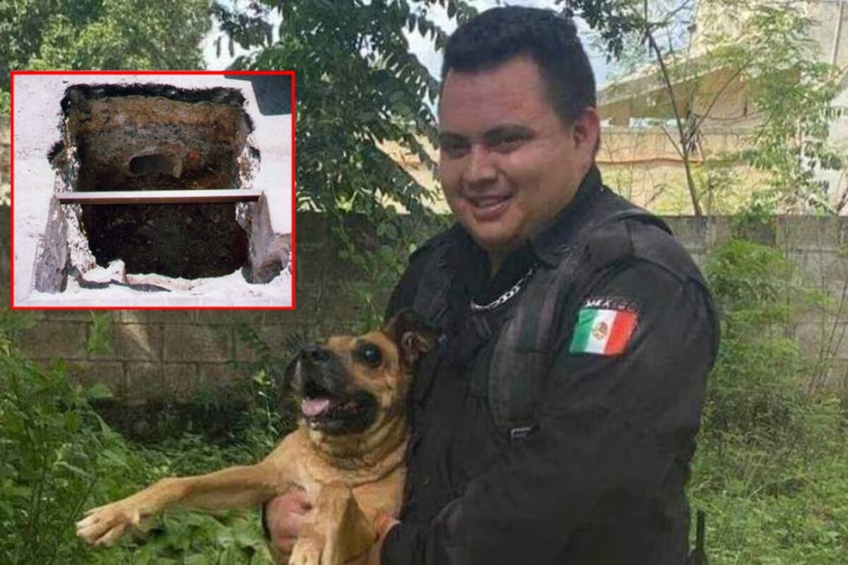Casi no la cuenta: Rescatan a perrito ciego en Yucatán