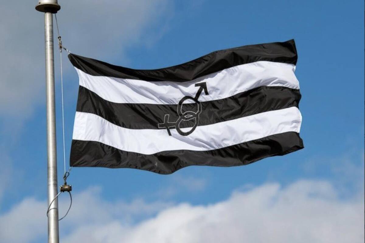 Bandera de “Orgullo Hetero” es blanco de burlas en Twitter