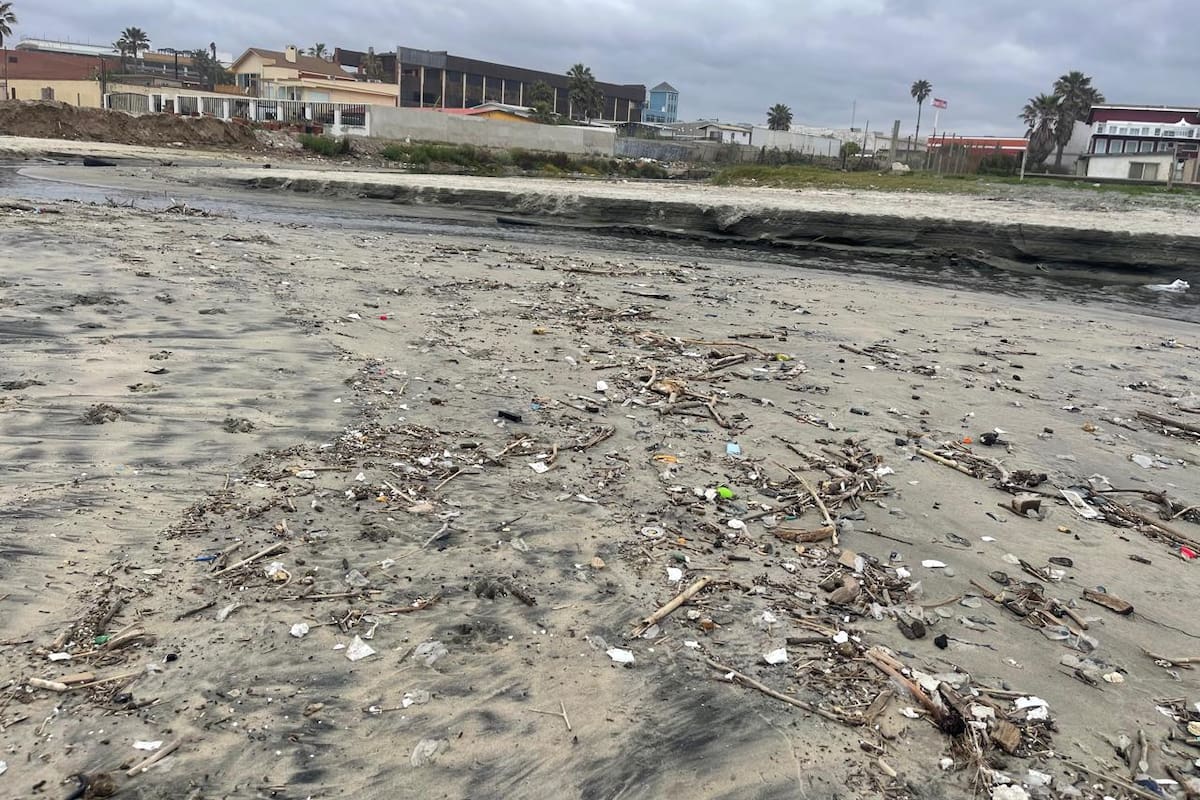 Convocan a jornada de limpieza en playas de Rosarito