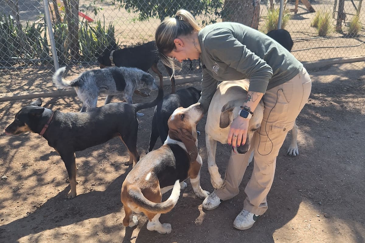 Hermosillo: Hacienda de los Perros tiene un equipo ¡De cuatro patas!