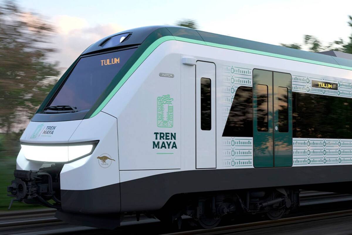 INAI exige transparencia en impacto ambiental de hoteles del Tren Maya
