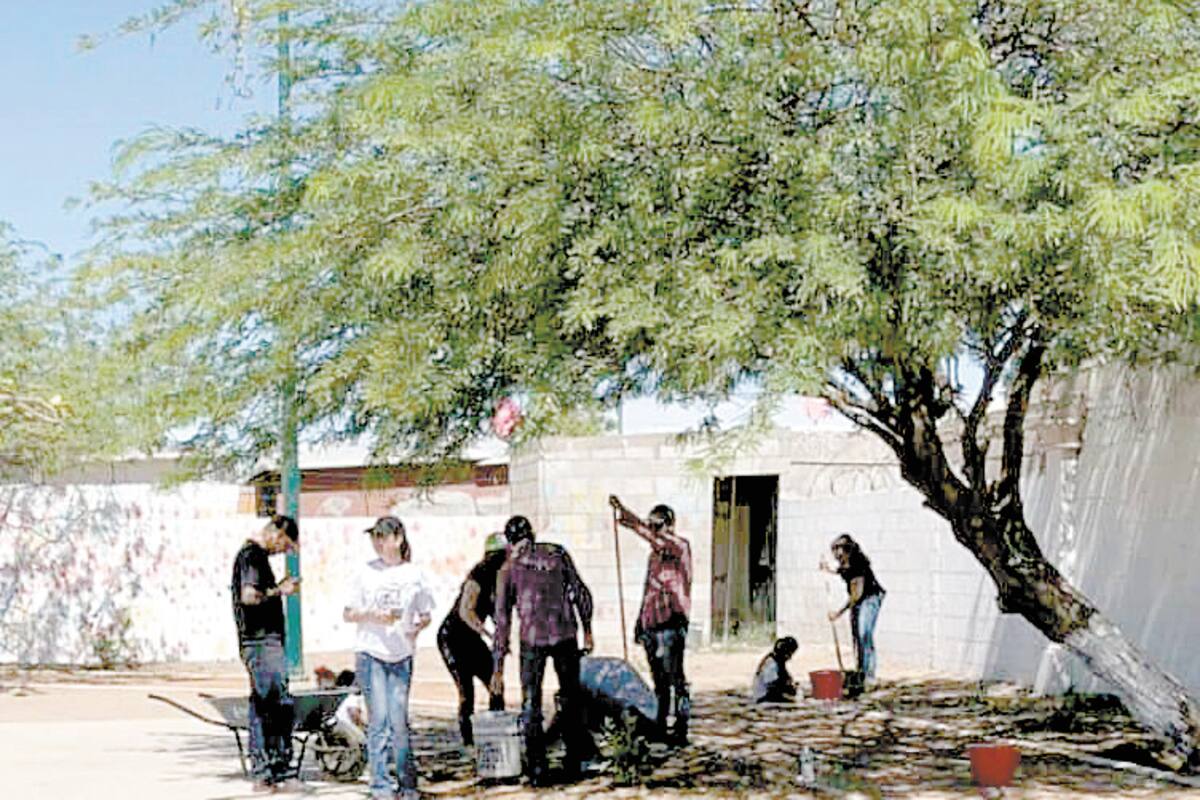 Cambiarán árboles por despensas